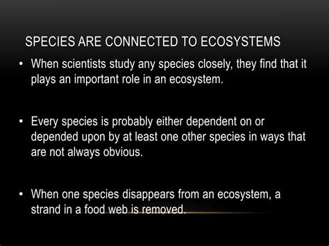Biodiversity 的图像结果