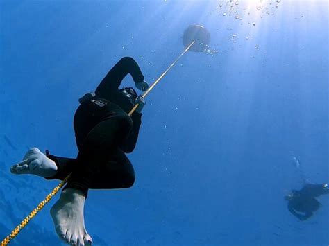 Freedive Mallorca - Port de Pollenca | Tripadvisor