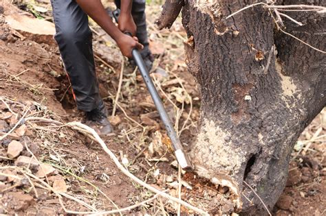 Image result for Alien Removal