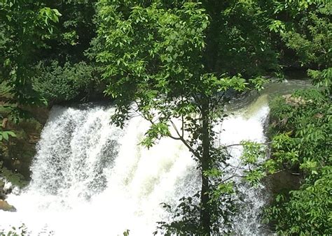 Medina Tourism (2023): Best of Medina, NY - Tripadvisor