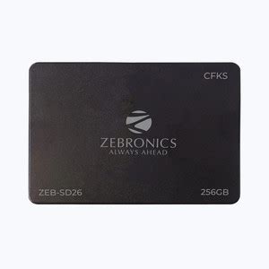 ZEBRONICS NA 256 GB All in One PC's Black SATA Internal Solid State ...