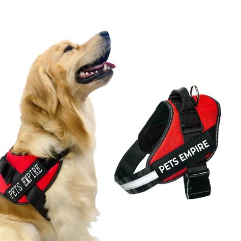 Pets Empire Classic Mobility Harness for Dogs