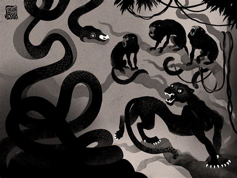 Python Jungle Book 的图像结果