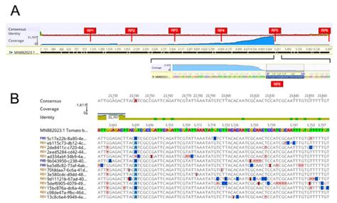 Nanopore Technology Applied to Targeted Detection of Tomato Brown ...