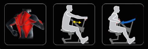 FitLine | Force | Seated Row – Fitline India