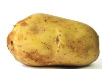 The demoralizing esculent