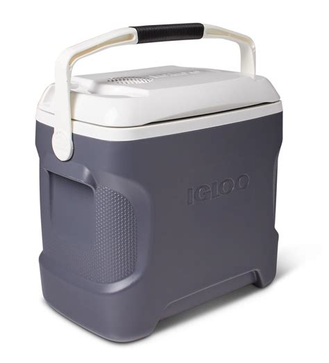 Plug In Ice Chest