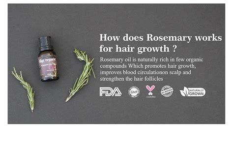 Blise organic Rosemary Essential Oil -100% Pure and Naturals, For Hair ...