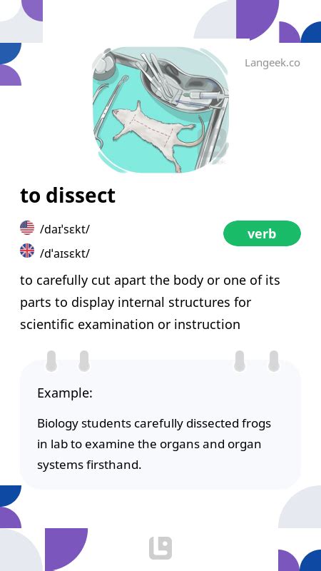 Image result for Dissect