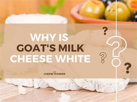 Goat's Milk Cheese Pregnancy at Michael Dittmer blog