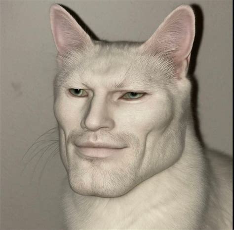 Pin by Minhtoan Ben on meme in 2025 | Funny cats, Funny reaction ...