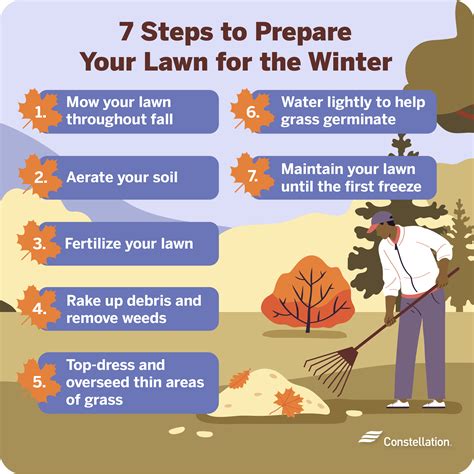 7 Steps to Prepare Your Lawn for Winter | Constellation