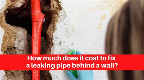 How To Fix Leaking Pipe Behind Toilet at Sarah Lewis blog