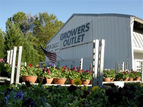 Growers Outlet Loganville Plants