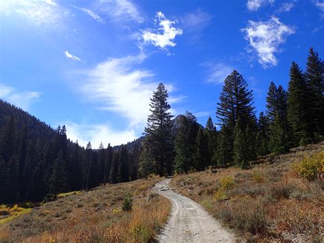Bear Creek Trail Ride 2016 | Periodyca