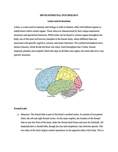 Brain-Types of Lobes - Masters of Science in Clinical Psychology - Studocu