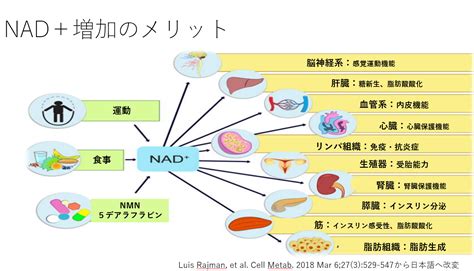 Image result for Comparing Functions Matching Cards Answer Key