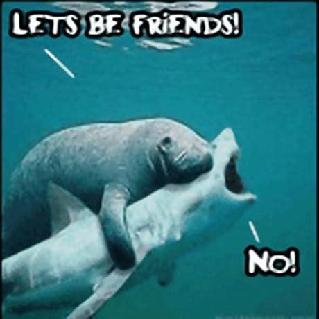 NERF Pro Stryfe X Dart Semi-Auto Blaster, Rechargeable LiPo Battery, 30 ...