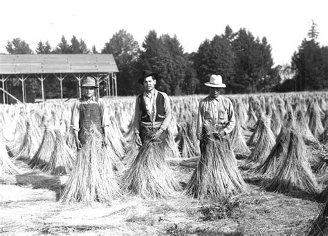 Operation Wetback | Meaning, Immigration, Summary, Bracero Program ...