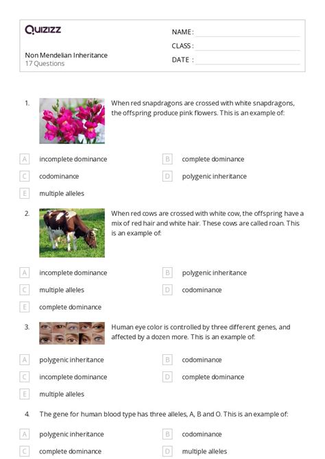 Genetics and Inheritance Worksheet 的图像结果