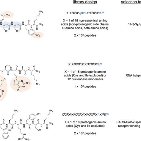 Rezultat imagine pentru Affinity Selections
