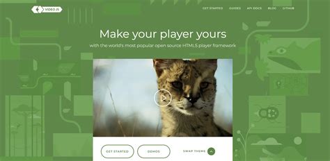 Image result for JavaScript Video Player