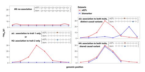 Image result for ImageJ Colocalization Coloc