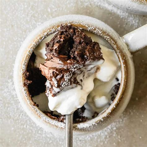 Hot Chocolate Mug Cake (Easy Single Serve Recipe) - Olives + Thyme
