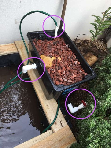 diy pond filter
