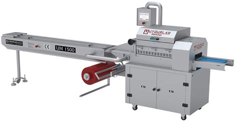 Image result for Horizontal Packing Machine