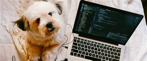 Image result for JSON RESTful API Examples