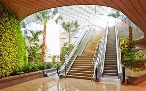 Did You Know Mumbai International Airport Has A Breathtakingly ...