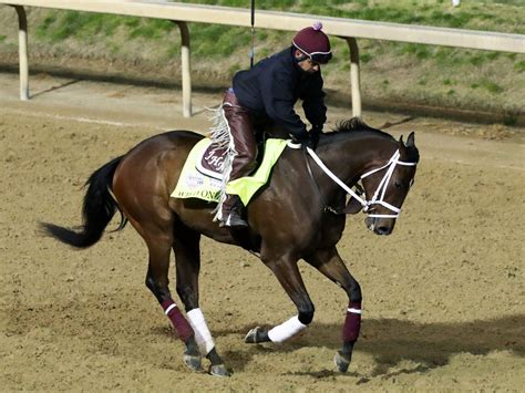 Update: Wild On Ice Euthanized After Derby Training