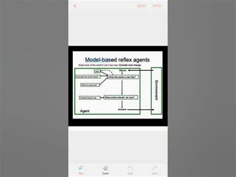 Reflex Agent 的图像结果