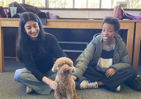 Canine Cuddles - MAH Lab 3/4 (2/12/25), University of Sussex, Falmer, 2 ...