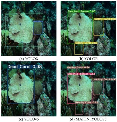 MAFFN_YOLOv5: Multi-Scale Attention Feature Fusion Network on the ...