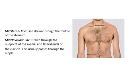 Surface Markings of Thorax.pptx