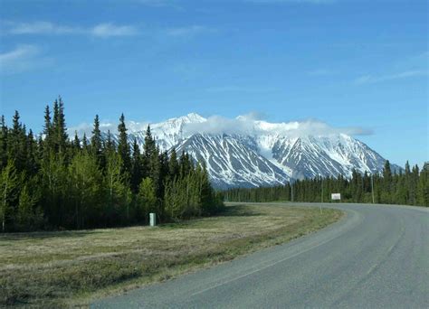 Cat Patches: Lake Creek Campground, Yukon Territory