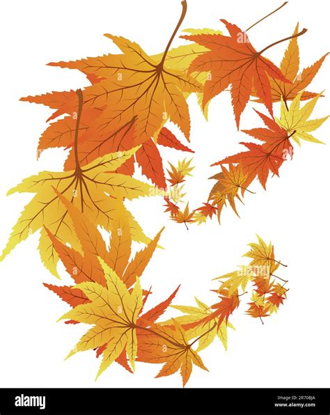 Twisted row of autumn maples leaves. Vector illustration Stock Vector ...