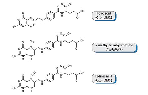 Image result for Different Types of Folate