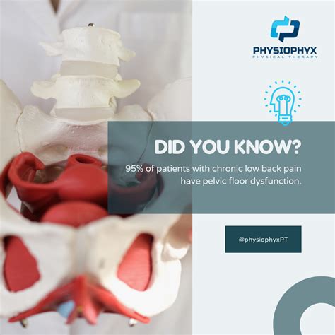 Chronic Low Back Pain? Your Pelvic Floor Could Be Key