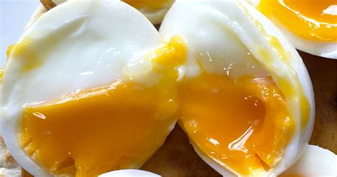 Does Cooking Kill Salmonella In Eggs at Max Kim blog