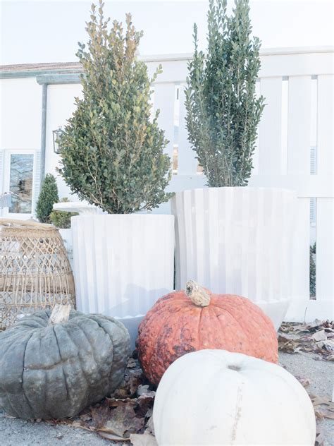 Image result for Easy Fall Decor