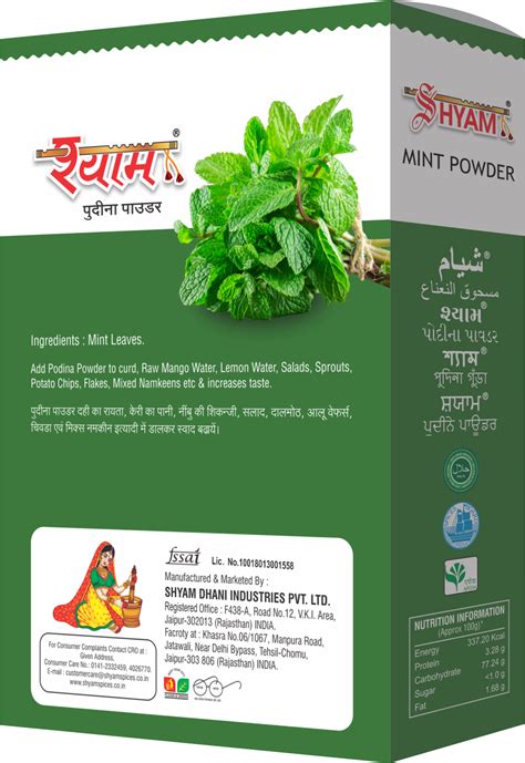 Shyam Mint Powder