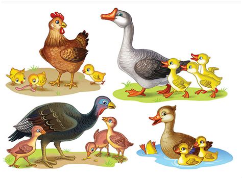 Animals 的图像结果