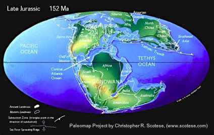 Disaster Recovery Plan PDF 的图像结果