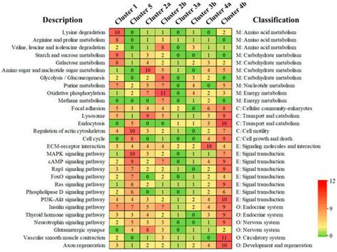 Comparative Transcriptome Analysis of Thitarodes Armoricanus in ...