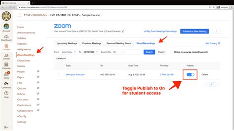 Publish Zoom Cloud Recordings in Canvas | Center for Academic Innovation