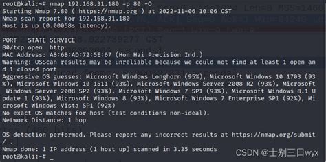 Nmap Scan Me 的图像结果