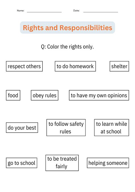 Rights and Responsibilities of Citizens Activities Worksheets for ...